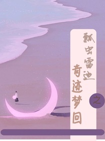 瓢虫雷迪之奇迹梦回