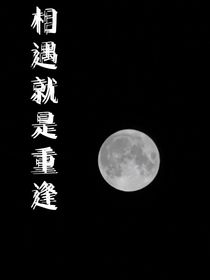 相遇就是重逢ya