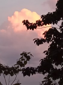 可可泡芙