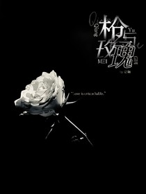 TF三代：枪与玫瑰