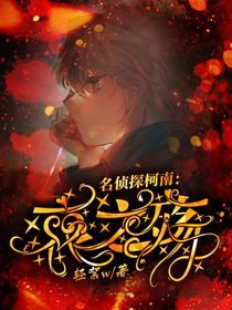 名侦探柯南：哀之殇