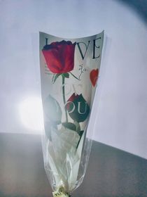 小姜的暗恋日记