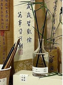 我独宠天下