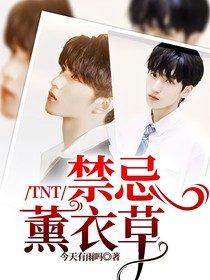 TNT：禁忌薰衣草