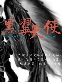 隕落的黑翼天使