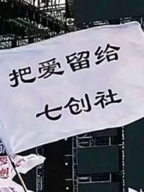 oc背景故事加信息