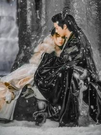 综影视：男友千千万