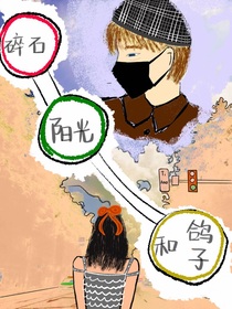 碎石陽(yáng)光和鴿子