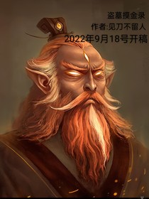 盗墓摸金录