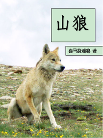 山狼