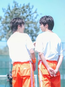 枫叶里的故事