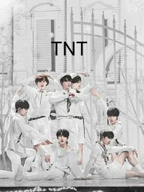 TNT：的偏爱