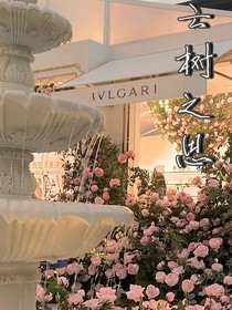 云树之思——悸动