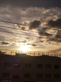 从废土开始