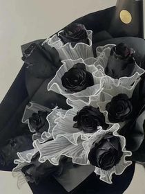 偷偷进行的关系