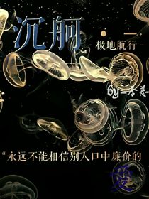 极地航行：沉舸