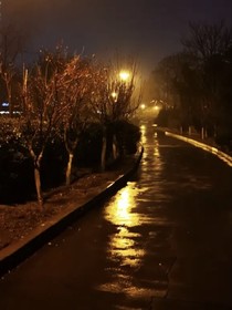 夜晚……夜晚