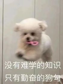 三代：不太正常的日常