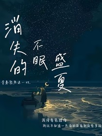 消失的不眠盛夏