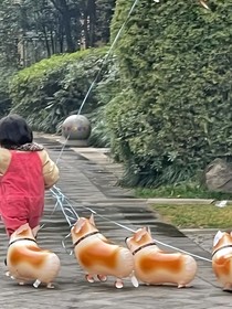 种种因莓