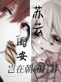 苏云暥安