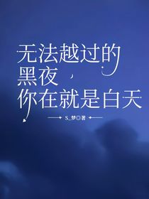 无法越过的黑夜，你在就是白天