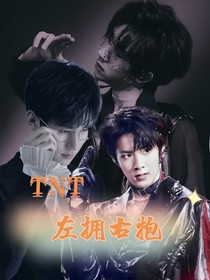 TNT：左拥右抱系统