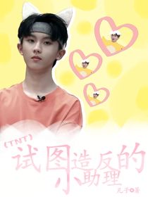 TNT：试图造反的小助理