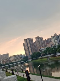 盛夏之光丷