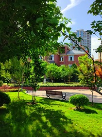 明日之后（前傳）