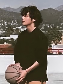 鹘蝶梦