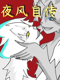 夜风自传