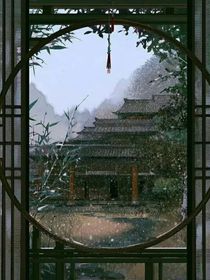 我想再見你一面