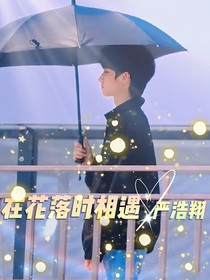 严浩翔：在花落时相遇