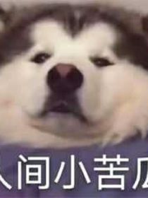 阿寄和她的怨種師父