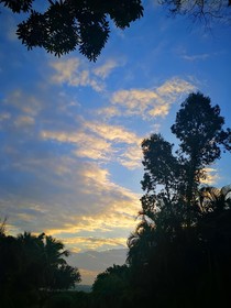太陽(yáng)從云端升起