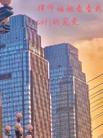 律師姐姐看看我