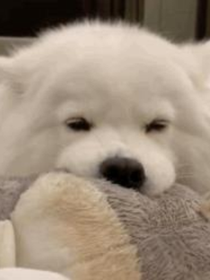 录……