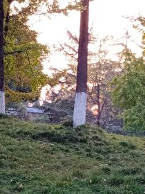 阳夏田