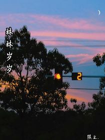 林林岁岁