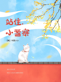 站住，小警察