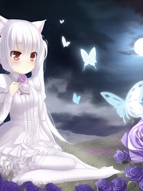 玫瑰花上，半點(diǎn)冰晶