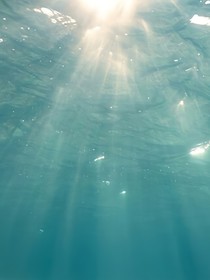 原神同人流浪者