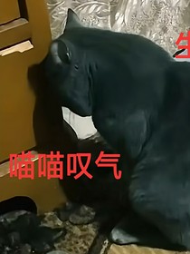 穿越邪骨团怎么办？！