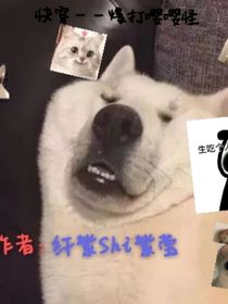 快穿——爆打嚶嚶怪！