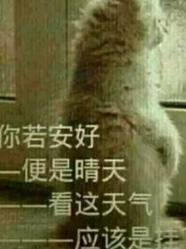 夜子的奇妙冒险