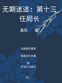 无期迷途：第十三任局长