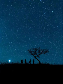 仰望星空之时