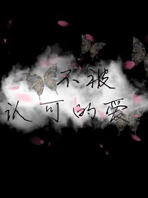 不被认可的愛