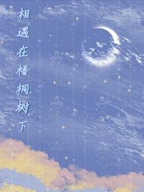 相遇在梧桐树下